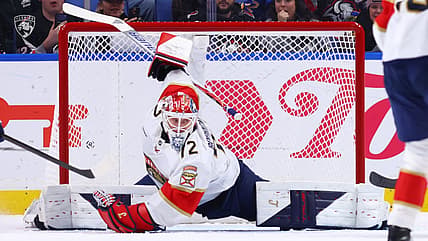 Florida panthers