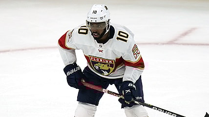 Florida panthers