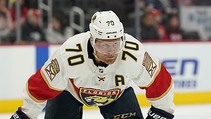 Florida panthers