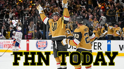 Vegas golden knights