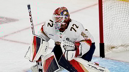 Bobrovsky