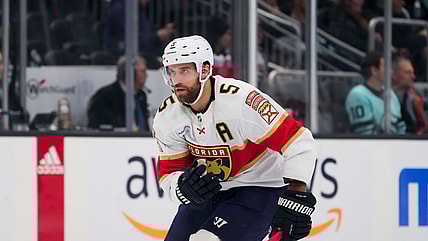 Ekblad panthers