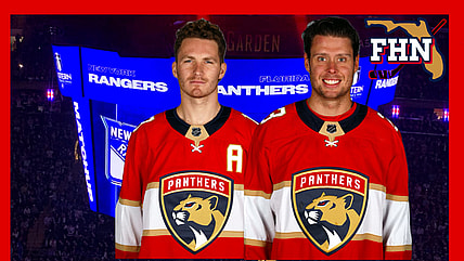 Florida panthers