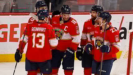 Florida panthers