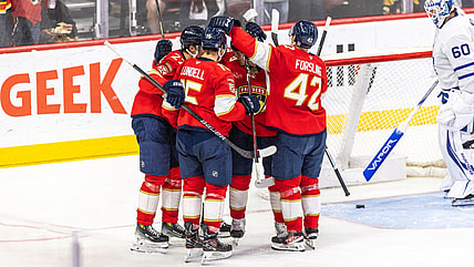 Florida panthers
