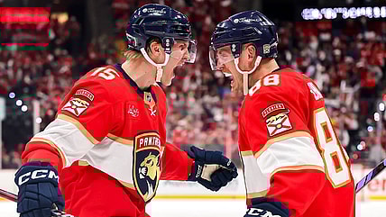 Florida panthers