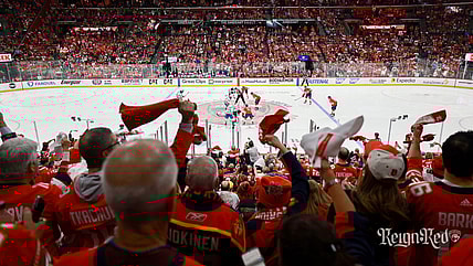 Panthers stanley cup