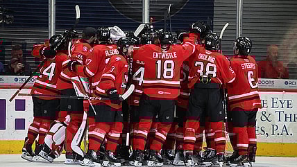 Florida panthers cup