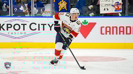 Florida panthers