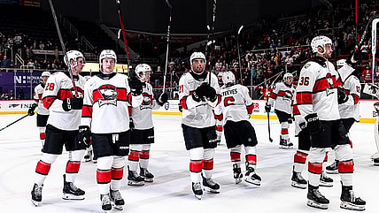 Florida panthers