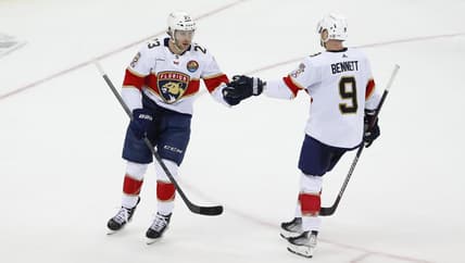 Florida panthers