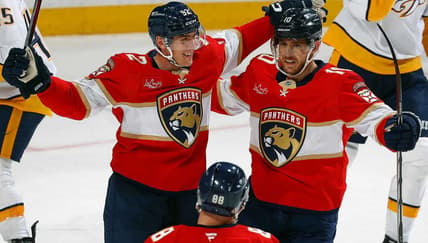 Florida panthers
