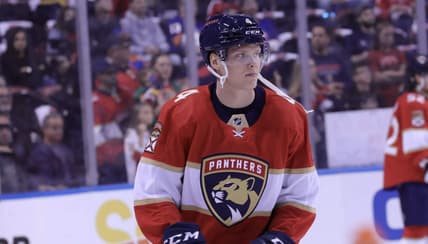 Florida panthers