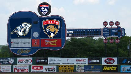 Panthers predators