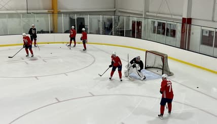 Florida panthers