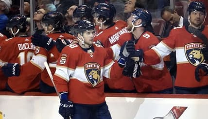 Florida panthers mamin
