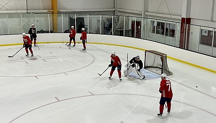 Florida panthers
