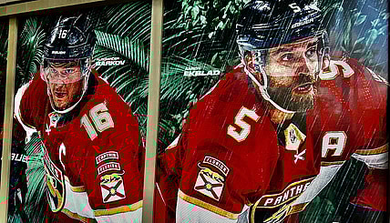 Florida panthers