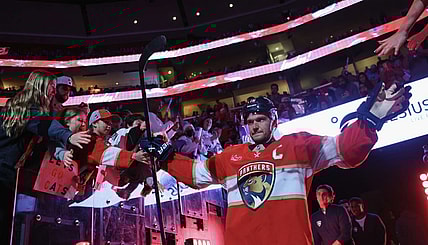 Florida panthers