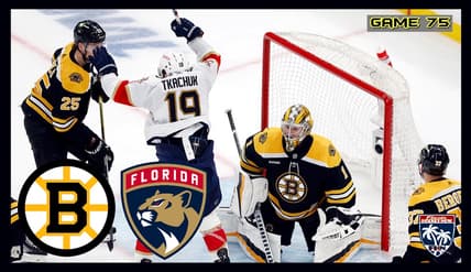 Panthers bruins
