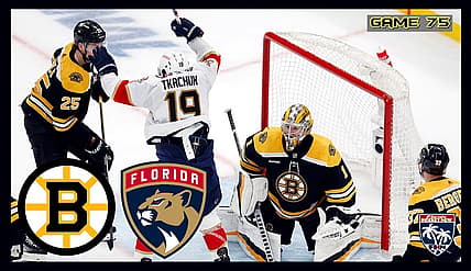 Panthers bruins