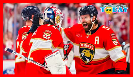 Florida panthers