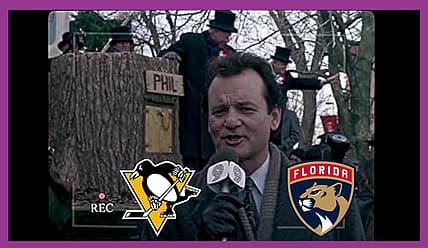 Panthers penguins