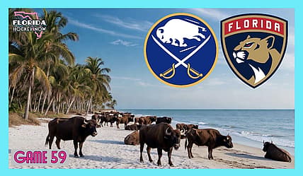 Panthers sabres