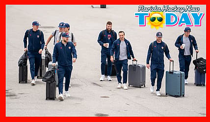 Florida panthers