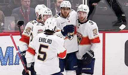 Florida panthers