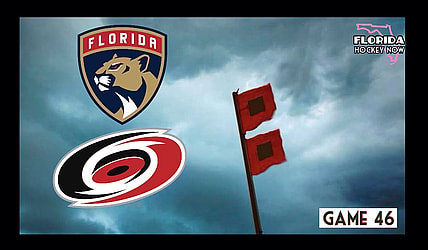 Panthers hurricanes