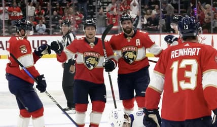 Florida panthers