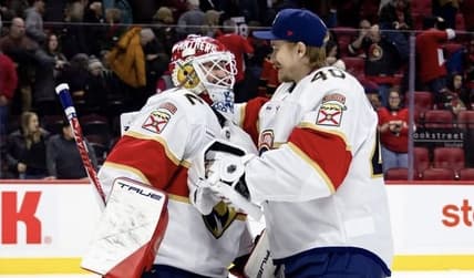 Panthers tarasov