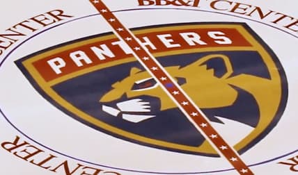 Florida panthers