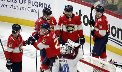 Florida panthers