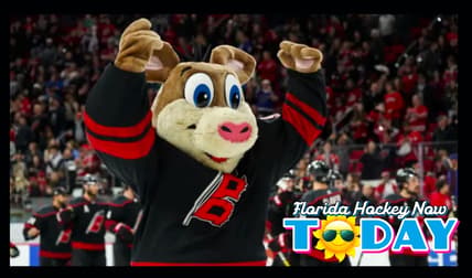 Panthers hurricanes