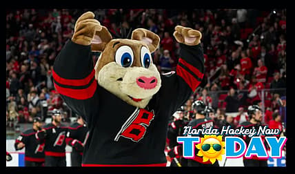 Panthers hurricanes
