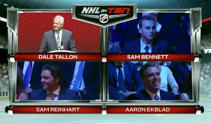 Florida panthers reinhart