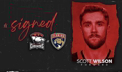 Scott wilson florida panthers