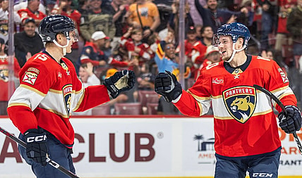 Florida panthers