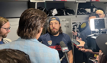 Florida panthers
