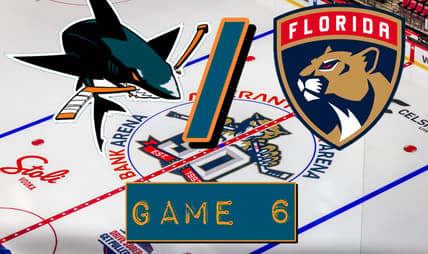 Panthers sharks