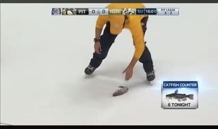 Panthers predators