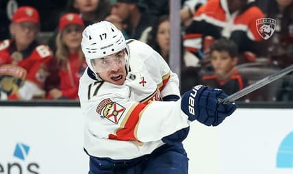 Panthers ducks