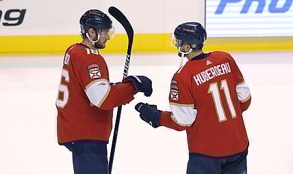 Florida panthers