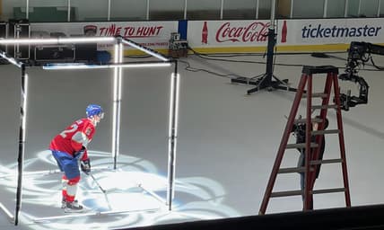 Florida panthers