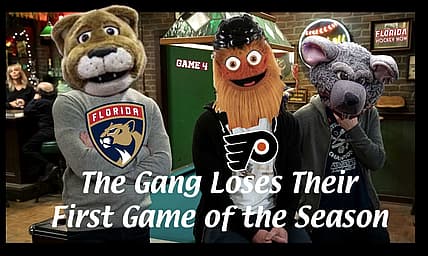 Panthers flyers