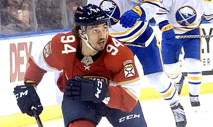 Florida panthers