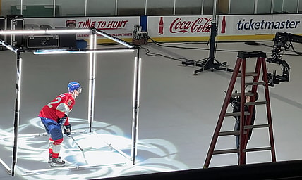 Florida panthers