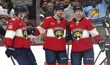 Florida panthers